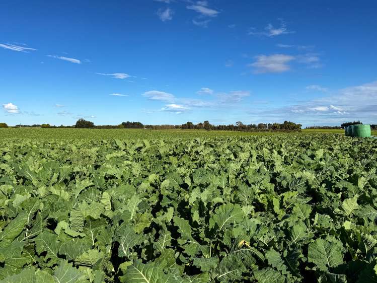 525 Woodlands-Morton Mains Road Morton Mains_3