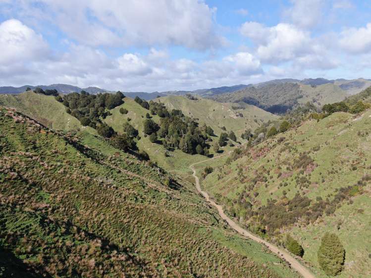 168 Pao Road Aria_12