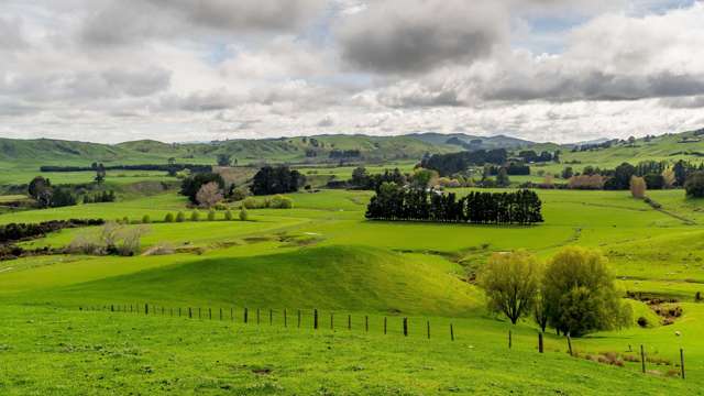 558 Ngaumu Road Masterton_1