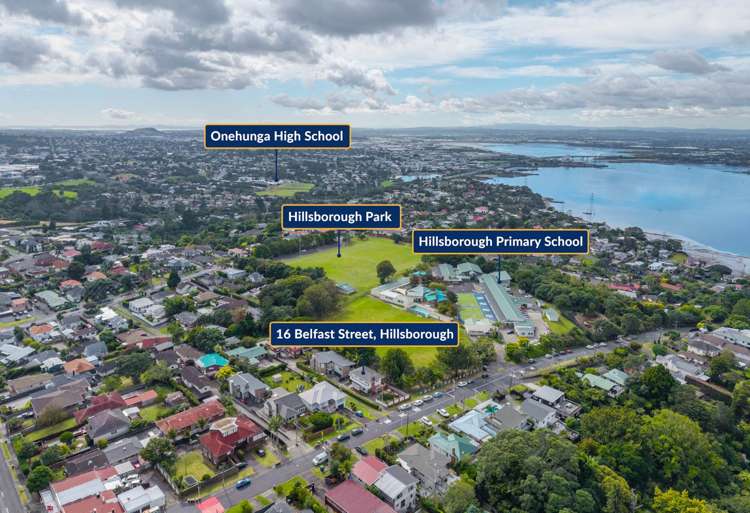 16 Belfast Street Hillsborough_12