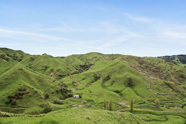 1800 State Highway 4 Te Kuiti_2