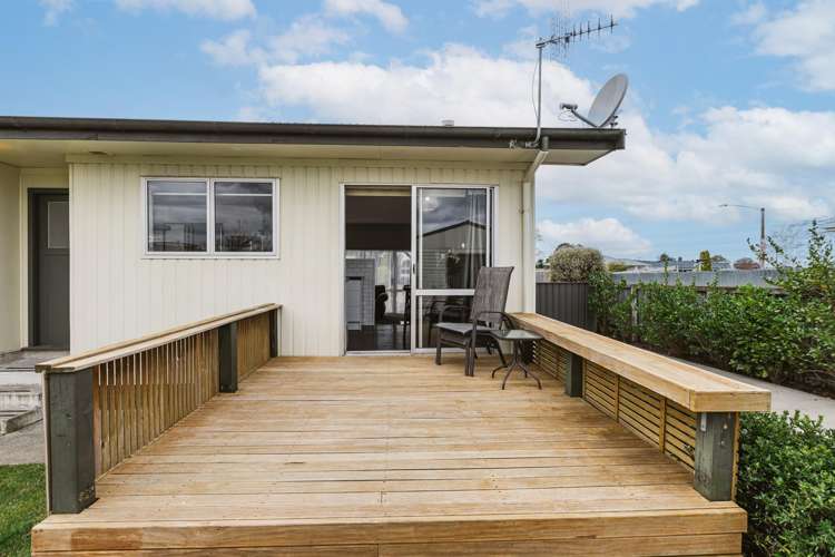 23 Plunket Street Tamatea_8