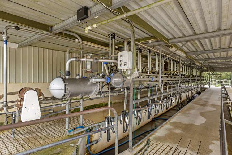 95 Mairoa Road Piopio_6