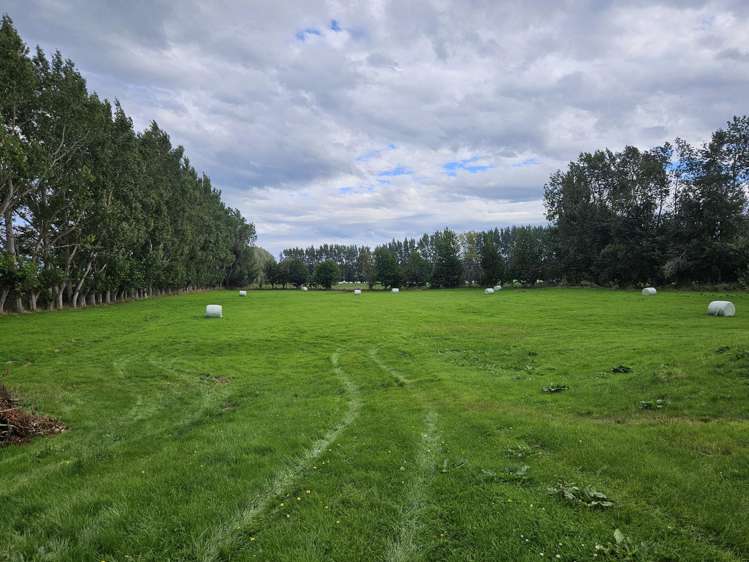 147 Chicory Road Inch Clutha_13