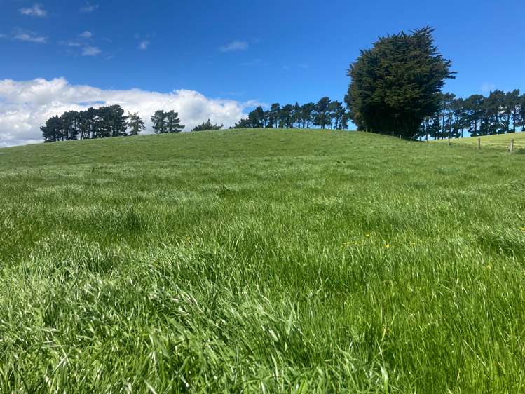 178 Smaills Road Gore Surrounds_7