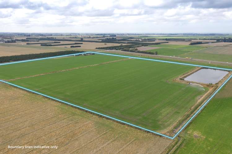 19 Gills Road Hinds_13