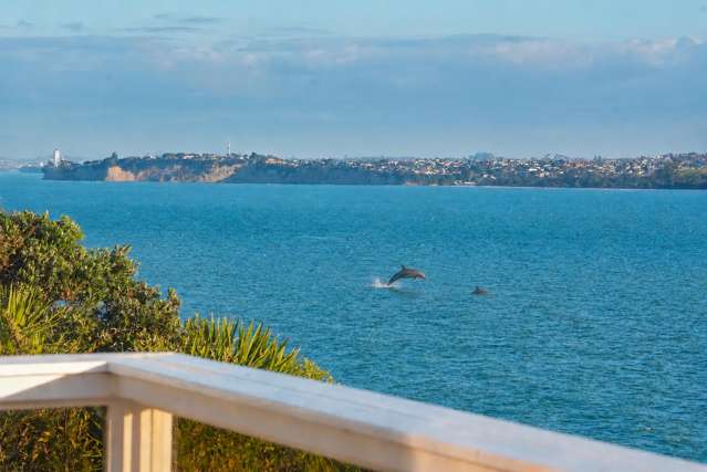 819 Whangaparaoa Manly_3