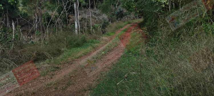 Address withheld Labasa_20