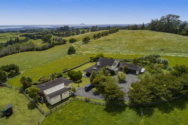 173 Tim Road Whakamarama_2