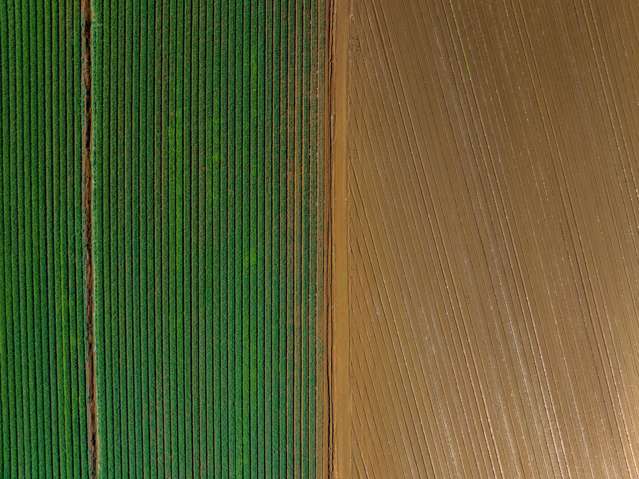 Proven Pukekohe Production Land
