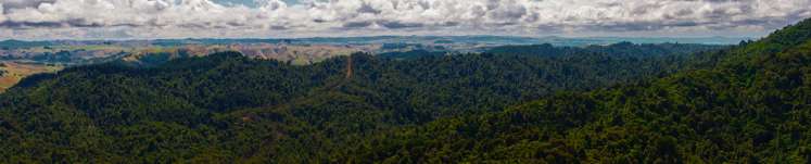 305 Waingaro Road Ngaruawahia_7
