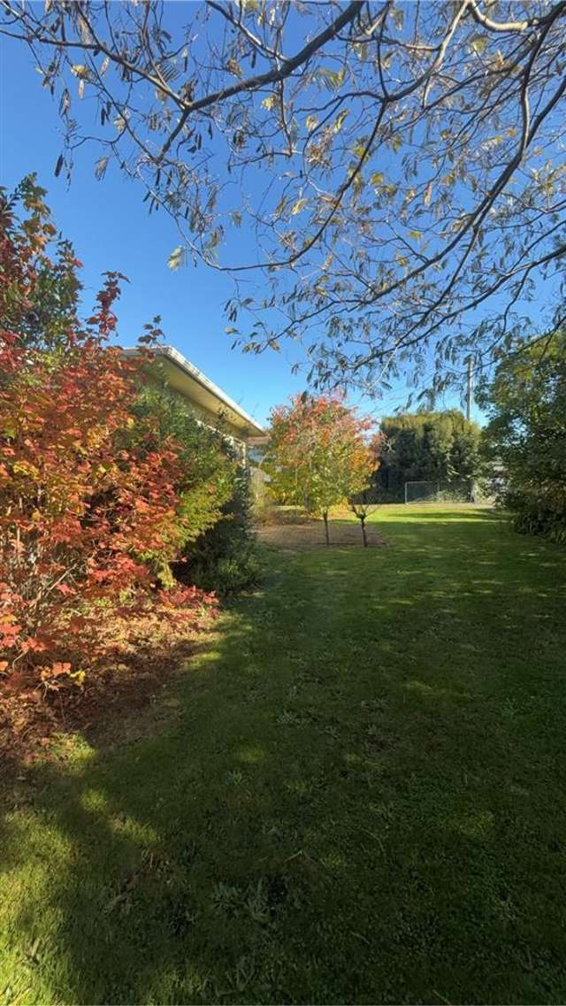 125 Charles Street Blenheim Central_4