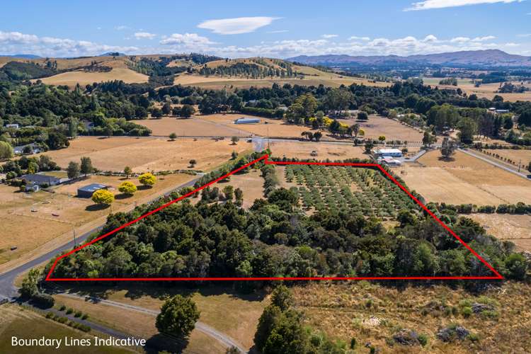 17 Tararua Drive Upper Plain_5