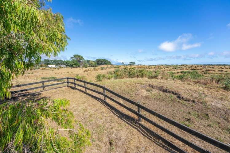 189 Swamp Road Te Horo_18