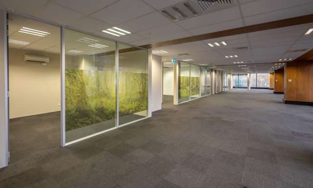 47 Hereford Street City Centre_2