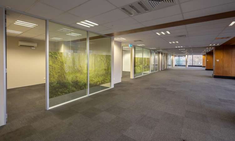 47 Hereford Street City Centre_2