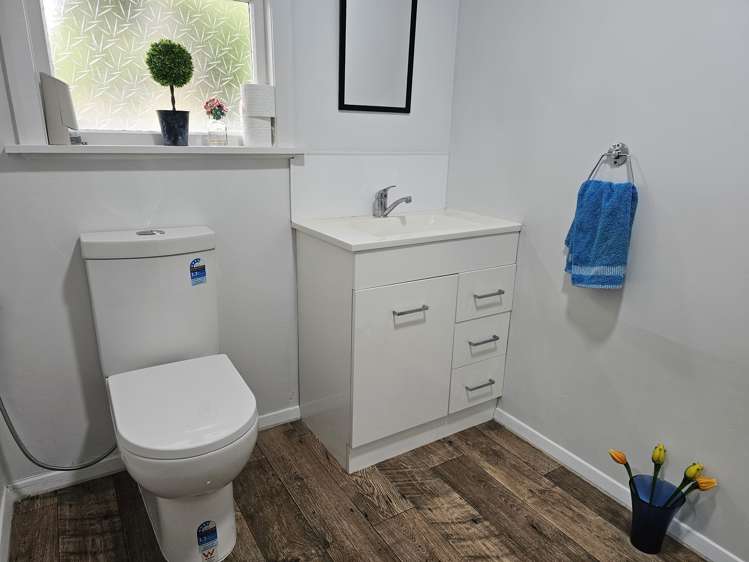 33 Stuckey Street Levin_4