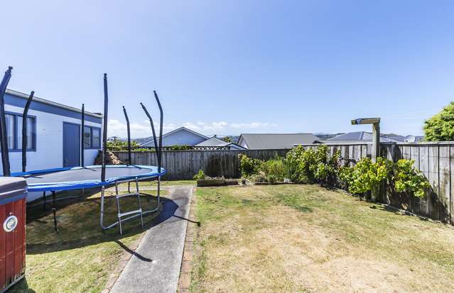 23 Freyberg Street Lyall Bay_4