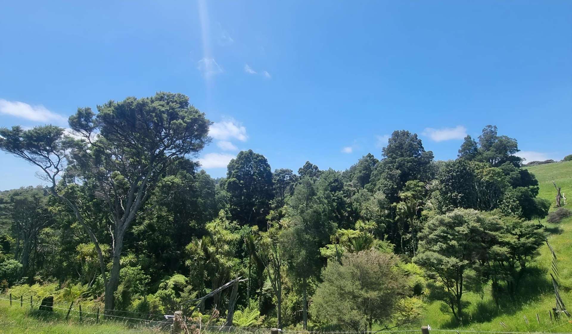 Address withheld Helensville_0