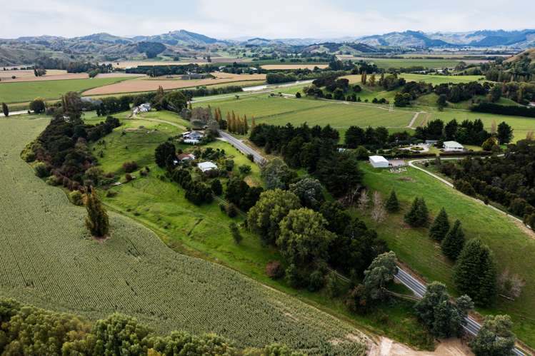 1507 Matawai Road Ormond_5