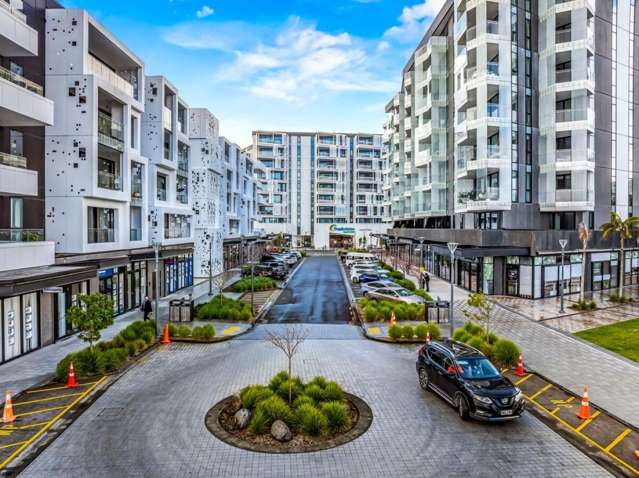 223 Greenlane West Epsom_4