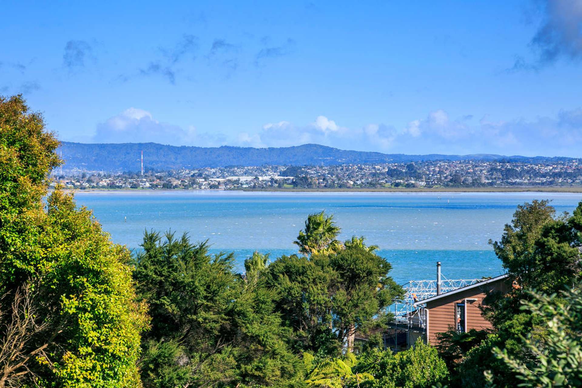 79 Hadfield Street Beach Haven_0