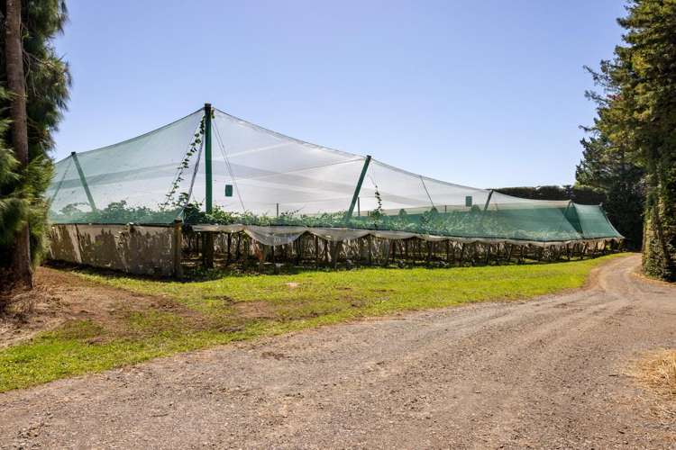 140C Wharawhara Road Tahawai_3