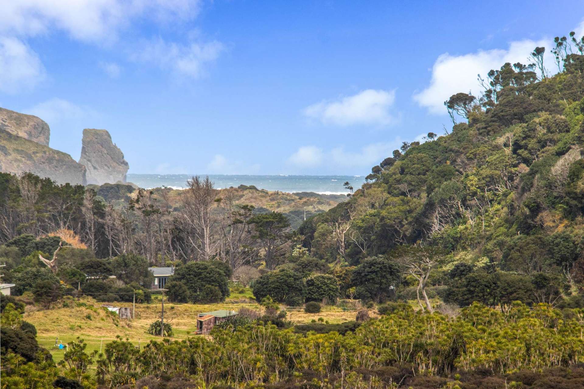 158 Bethells Road Bethells Beach_0