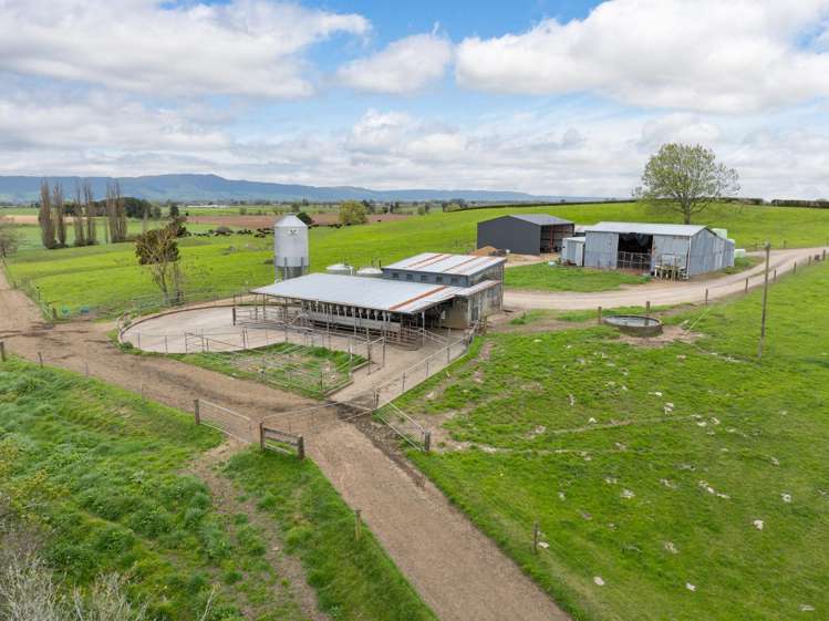 222 Gunn Road Matamata_7
