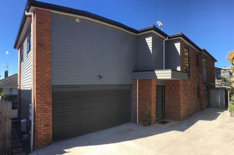 12a Nash Road Mount Roskill_1