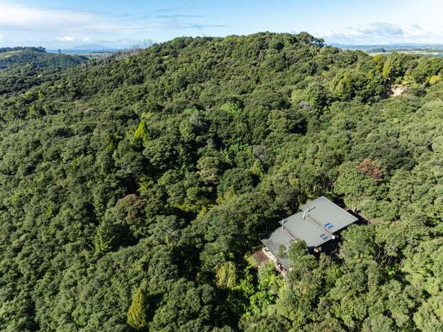 300 King Road Mangawhai_4