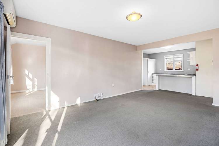 44A Jeffreys Road_5