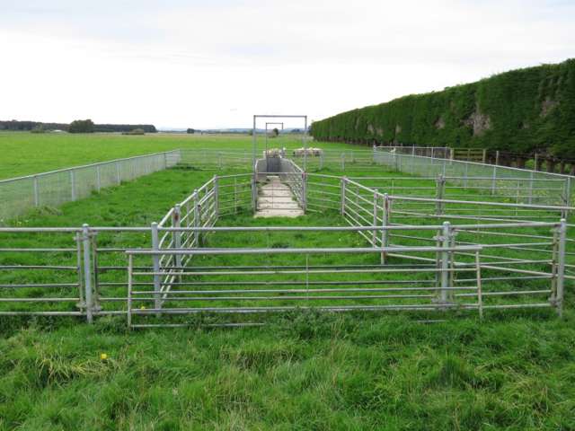 665 North Makarewa Grove Bush Road Makarewa_1