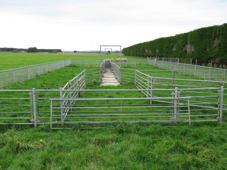 665 North Makarewa Grove Bush Road Makarewa_1