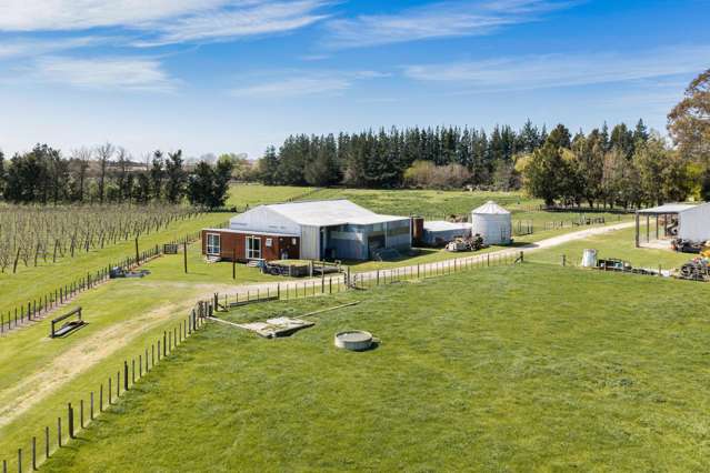 264 Paki Paki Road Longlands_4