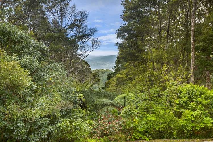 88 Avro Road Blue Mountains_2