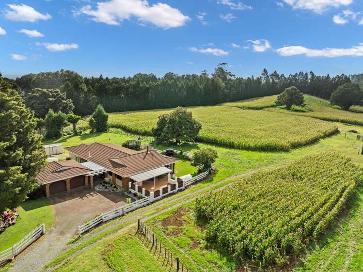 397 Three Mile Bush Road Te Kamo_25
