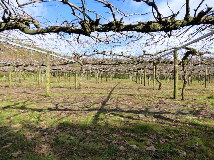 1335a No 3 Road Te Puke_12