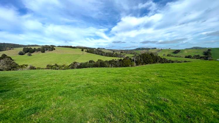 227 Tapu Bush Road Whangaripo_5