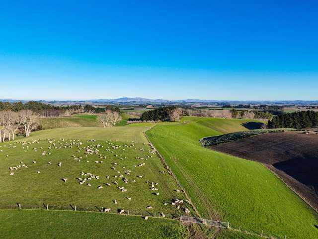 59 Captains Bridge Road Waikoikoi_1