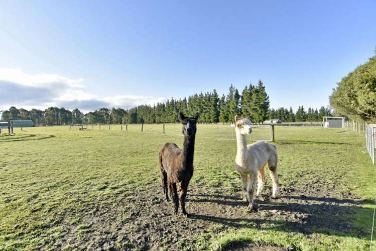 194 Fishers Road Loburn_24