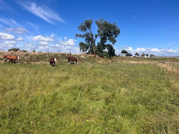 2221b State highway 2 Pukehina_7