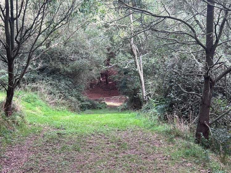 276B Number 2 Line Okoia_34