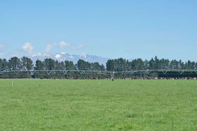 319 Mitchells Road Bankside_4