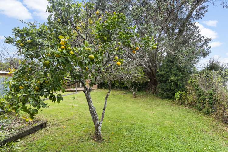 11 Portadown Avenue Pakuranga Heights_19