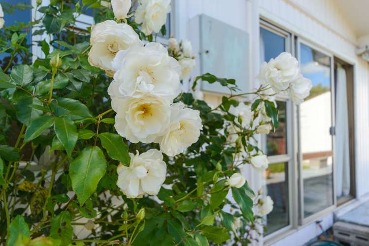 78 Awahuri Road Feilding_12