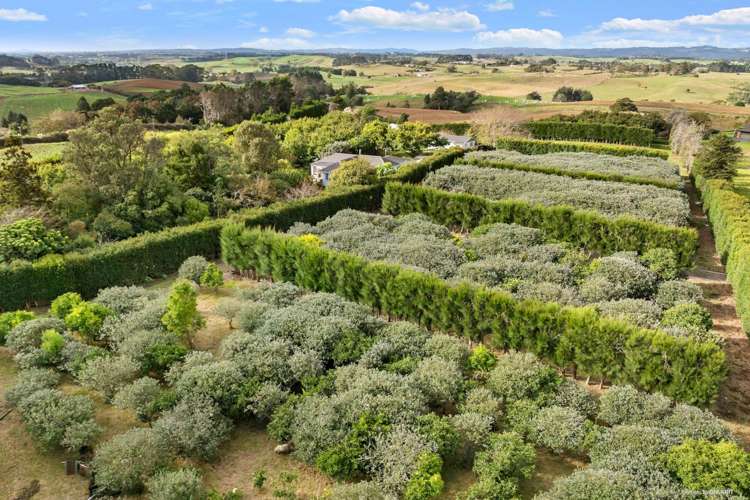 154 Schlaepfer Road Pukekohe_15