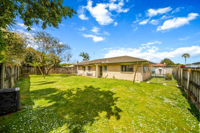 20A Gibson Road Tuakau_3
