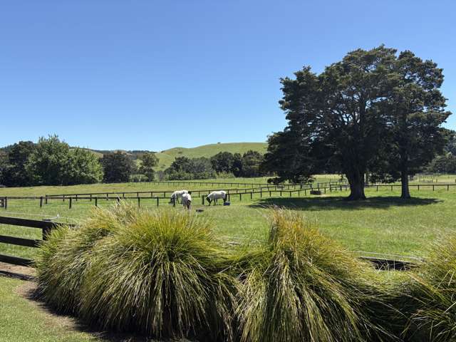 145A Port Marsden Highway Ruakaka_3