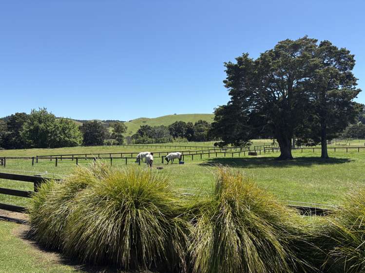 145A Port Marsden Highway_3